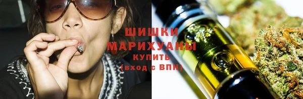 шишки Пестово