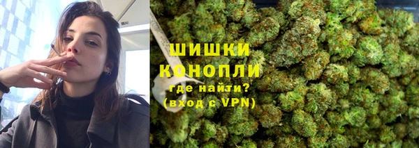 spice Алзамай