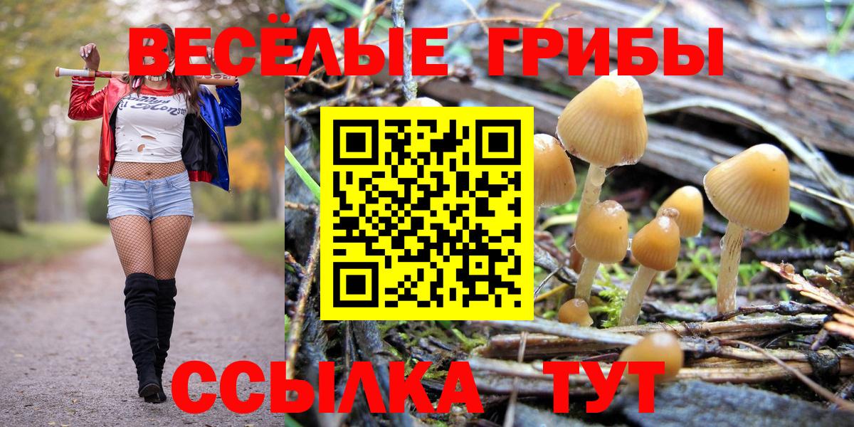 Киржач  Галлюциногенные грибы Magic Shrooms  Вход с VPN 